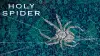 Убийца «Священный паук»