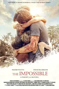 Постер к фильму "Невозможное" #85711
