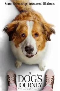 Постер к фильму "Собачья жизнь 2" #47878
