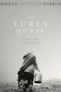 Постер к фильму "Туринская лошадь" #201328