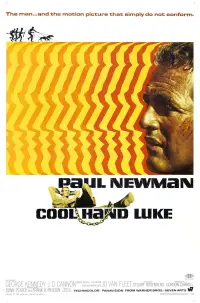Постер к фильму "Хладнокровный Люк" #102978