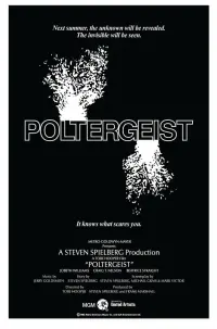 Постер к фильму "Полтергейст" #106279