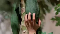 Задник к фильму "Аромат зеленой папайи" #405625