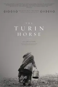 Постер к фильму "Туринская лошадь" #201335