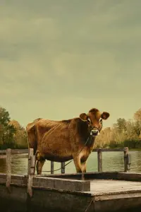 Постер к фильму "Первая корова" #241046