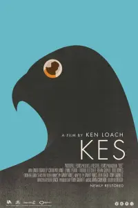 Постер к фильму "Кес" #211583