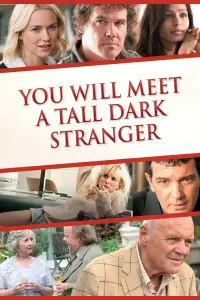 Постер к фильму "Ты встретишь таинственного незнакомца" #137890