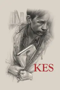 Постер к фильму "Кес" #505299