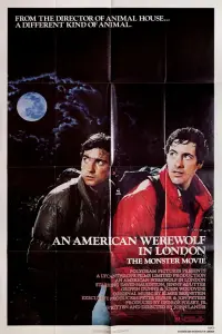 Постер к фильму "Американский оборотень в Лондоне" #220335