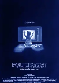 Постер к фильму "Полтергейст" #106239