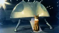 Задник к фильму "Кот из космоса" #414617