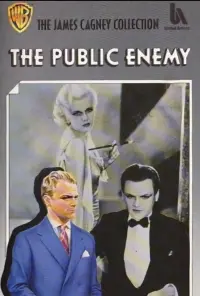 Постер к фильму "Враг общества" #230689