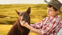 Задник к фильму "Рыжий пес: Самый верный" #513444