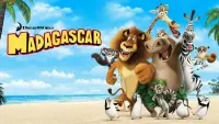 Задник к фильму "Мадагаскар" #13403