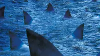 Задник к фильму "Бешеные акулы" #500882