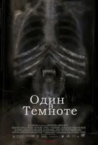 Постер к фильму "Один в темноте" #378231