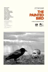Постер к фильму "Раскрашенная птица" #155189