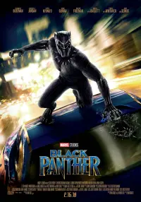 Постер к фильму "Чёрная Пантера" #219965