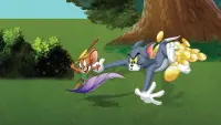 Задник к фильму "Том и Джерри: Робин Гуд и его веселый мышонок" #392889
