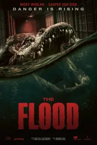 Постер к фильму "Наводнение" #16431