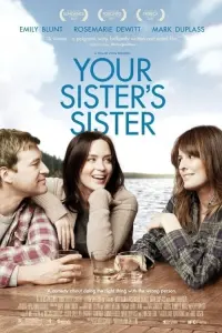 Постер к фильму "Сестра твоей сестры" #287967