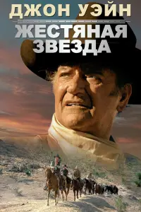 Жестяная звезда