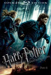 Постер к фильму "Гарри Поттер и Дары смерти: Часть I" #11504