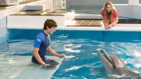 Задник к фильму "История дельфина 2" #456633