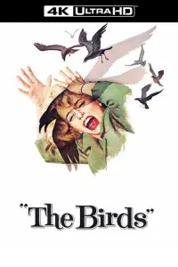 Постер к фильму "Птицы" #210013
