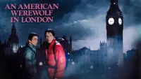 Задник к фильму "Американский оборотень в Лондоне" #50287