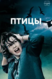 Постер к фильму "Птицы" #372715