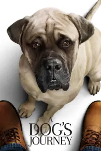Постер к фильму "Собачья жизнь 2" #47881