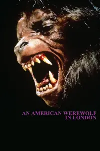 Постер к фильму "Американский оборотень в Лондоне" #50303