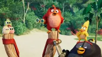 Задник к фильму "Angry Birds 2 в кино" #240094