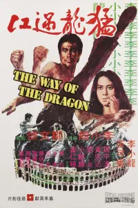 Постер к фильму "Путь дракона" #220576