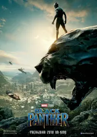 Постер к фильму "Чёрная Пантера" #219941