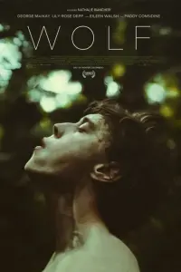 Постер к фильму "Волк" #315313
