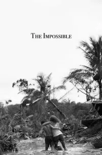 Постер к фильму "Невозможное" #410320