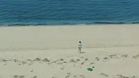Задник к фильму "Пляжный домик" #411792