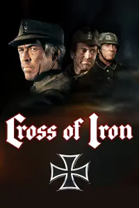 Постер к фильму "Железный крест" #131910
