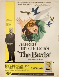 Постер к фильму "Птицы" #210028