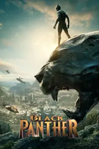 Постер к фильму "Чёрная Пантера" #219927