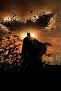 Постер к фильму "Бэтмен: Начало" #201309