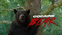 Задник к фильму "Кокаиновый медведь" #302301