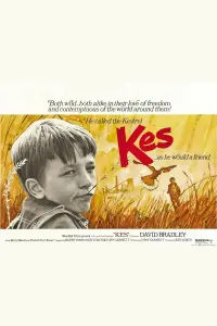 Постер к фильму "Кес" #211588