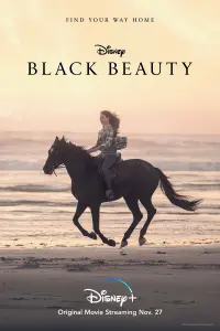 Постер к фильму "Чёрная красавица" #179871