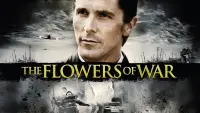 Задник к фильму "Цветы войны" #141182