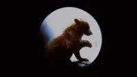 Задник к фильму "Медведь" #246289