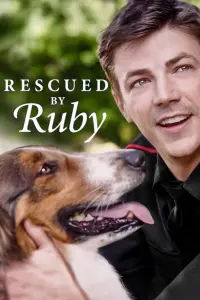Постер к фильму "Руби, собака-спасатель" #97995