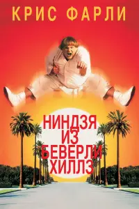 Постер к фильму "Ниндзя из Беверли Хиллз" #124388